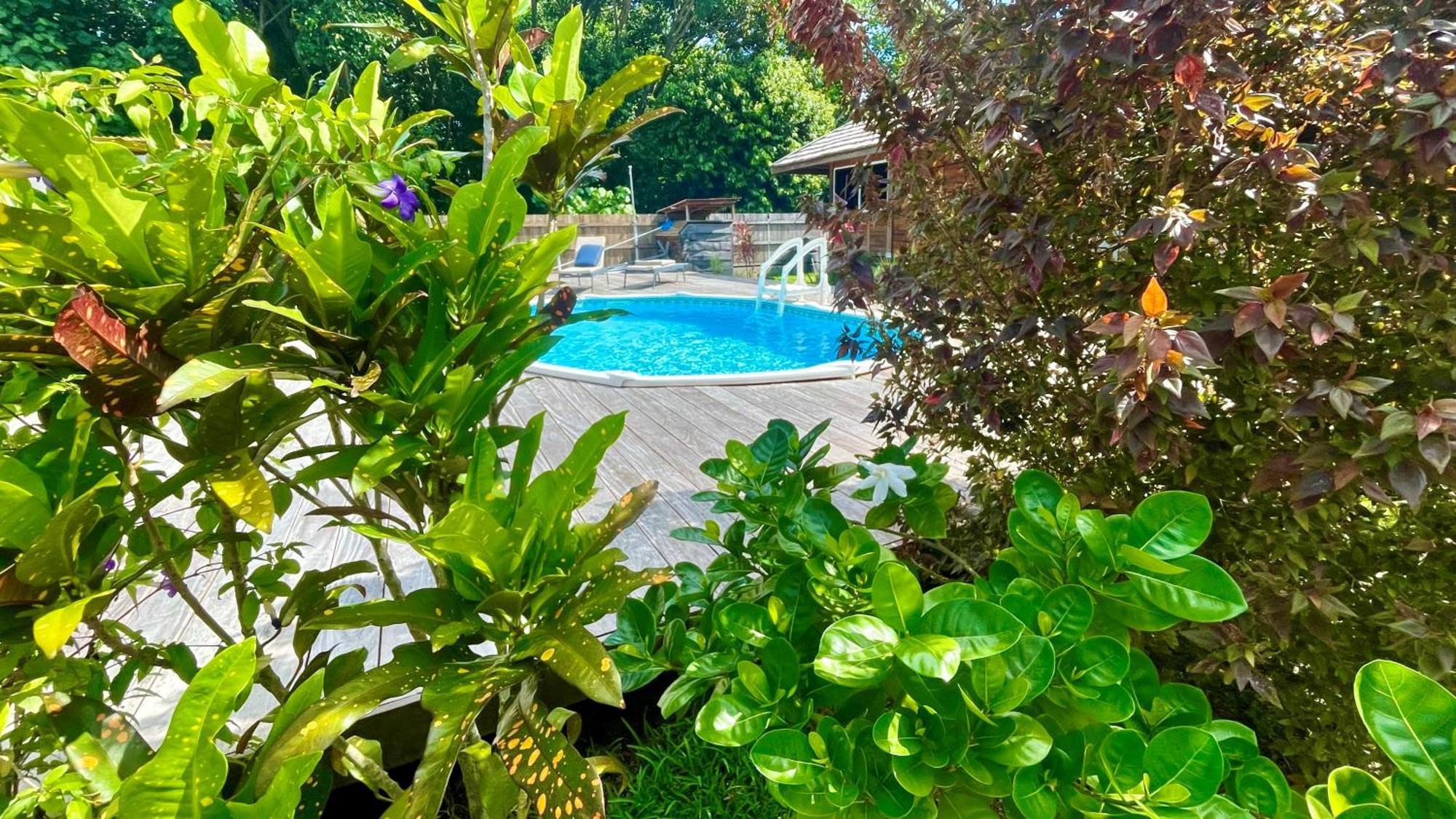 Raiatea - Orion Pool Bungalow Утуроа Экстерьер фото